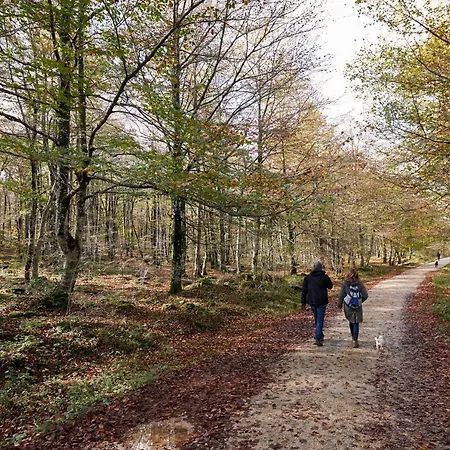Casa Palacio Hétvégi ház Arminon