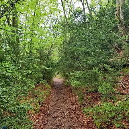 Casa Palacio * Arminon