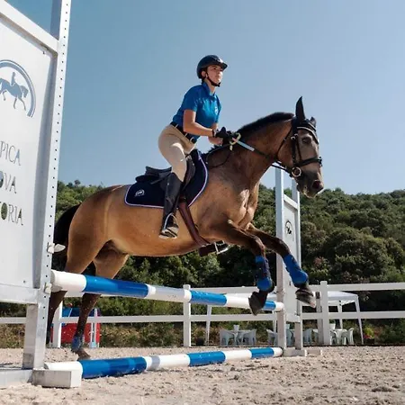 Hétvégi ház Casa Palacio Arminon