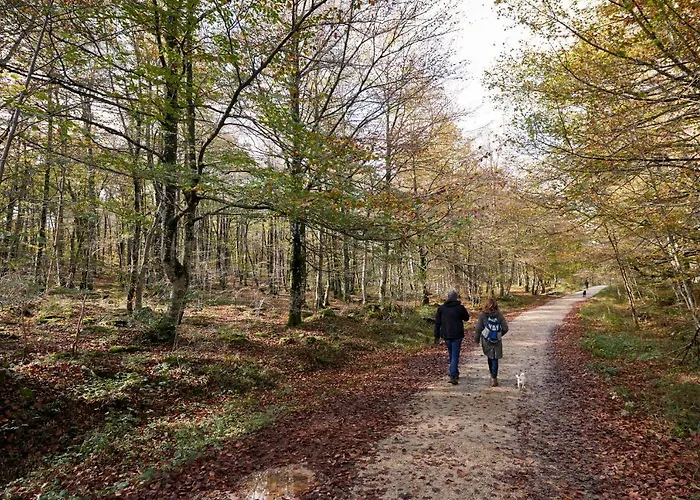 Casa Palacio Country house Arminon